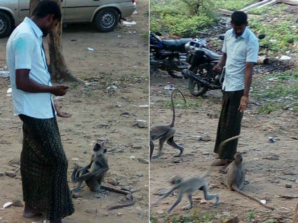 குப்பைகளில் இருந்து...