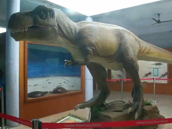 புதர்களில் சிலைகள் 