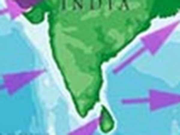 தடாலடி மனு 