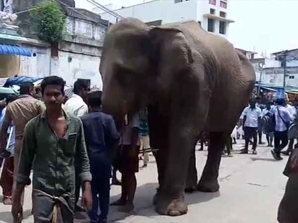 8 பேருக்கு காயம் 