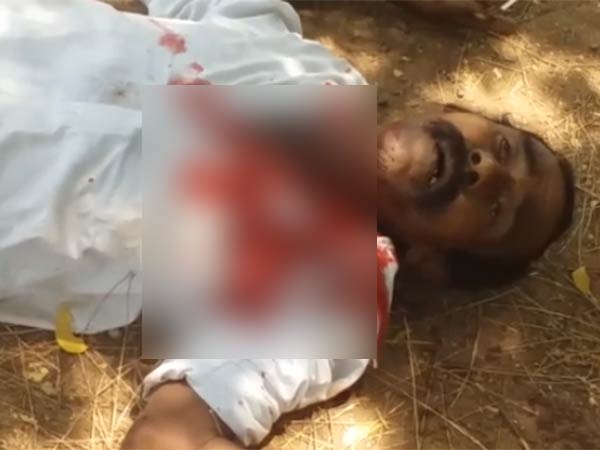 சரிந்து விழுந்த உயிர்கள் 