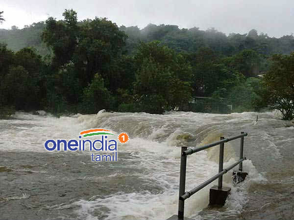 தாமிரபரணிக்கு விழா