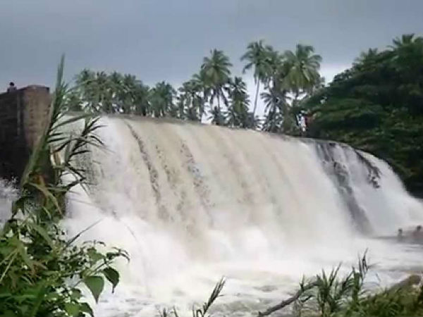 அருவியில் ஆர்ப்பரிக்கும் நீர் 