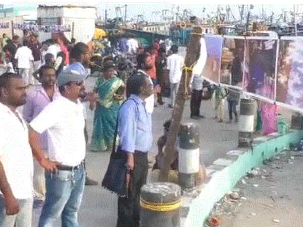 30-க்கும் மேற்பட்ட ஓவியங்கள் 