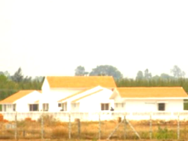  கோரைப்புற்கள் தீ 