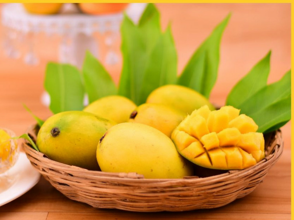 Tredyfood opens door for tasting foreign food through online 