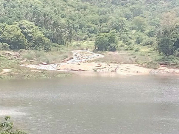 102 அடி நீர் 