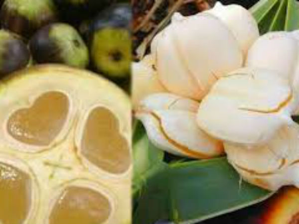 அம்மையை தடுக்கும் நுங்கு 