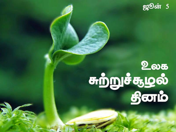 we have to take oath to grow atleast one tree to save the earth on this world environment day