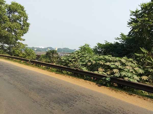 exploring- odissa kalingam 59