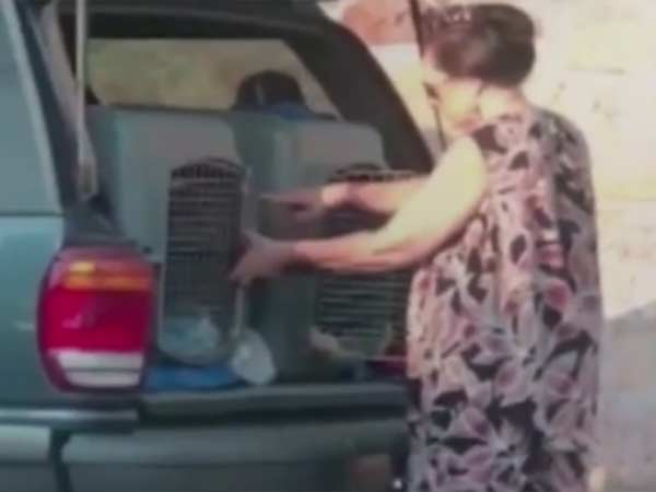 நாய்கூண்டில் அடைத்து நாய்கூண்டில் அடைத்து