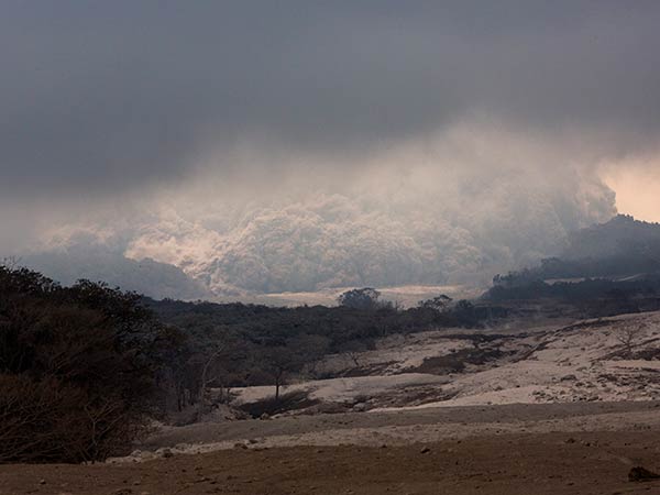 எவ்வளவு வேகம் எவ்வளவு வேகம்