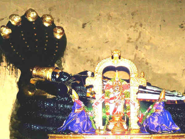 தோல் நோய்க்கான ஜோதிட காரணங்களும் கிரக நிலையும்: தோல் நோய்க்கான ஜோதிட காரணங்களும் கிரக நிலையும்: