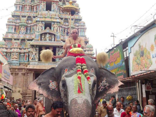 தோல் நோய்களுக்கான கிரக சேர்க்கைகள்: தோல் நோய்களுக்கான கிரக சேர்க்கைகள்: