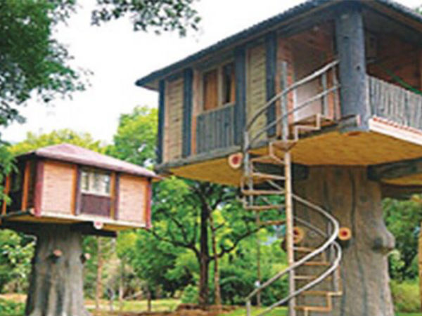 பிரபலமான மர வீடுகள்