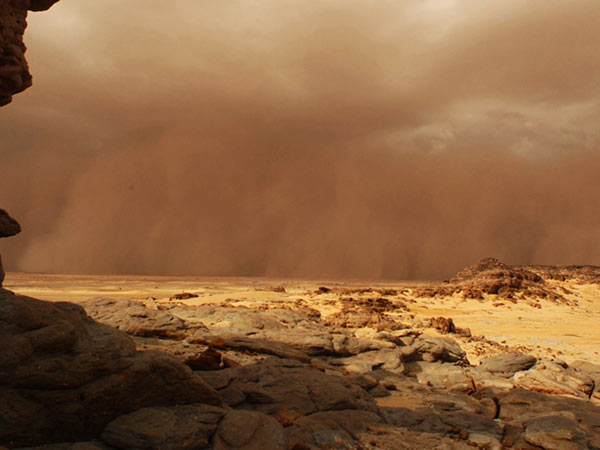 தங்கியது 