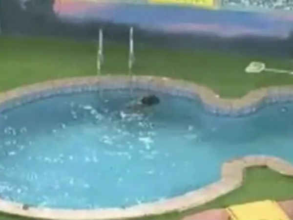 ஓவியாவின் தற்கொலை முயற்சி: