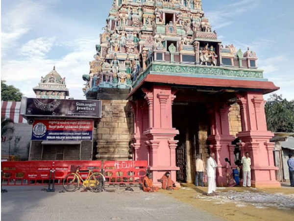 இறவாப்பனை இறவாப்பனை