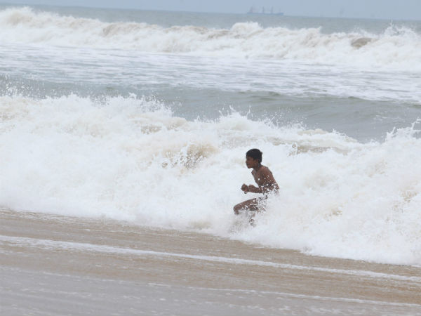 பூமியின் நுரையீரல் 