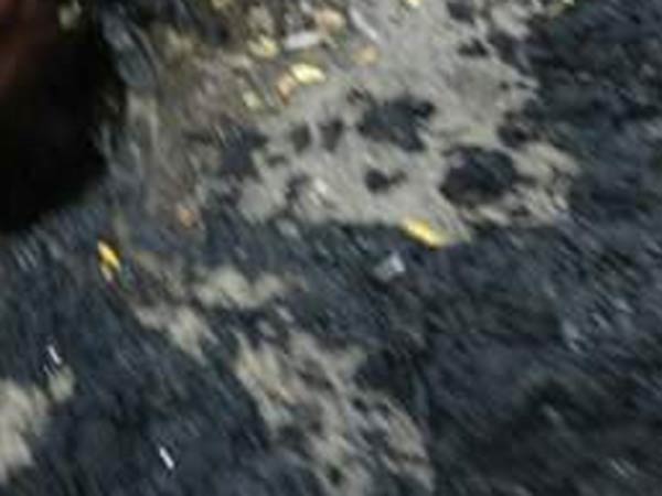 பரபரப்பு 