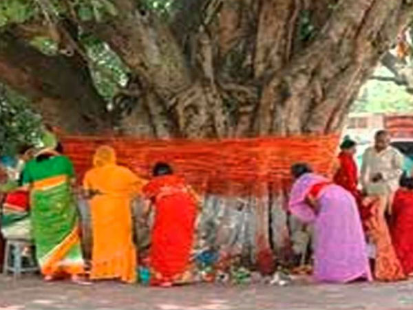 vat savitri puja is performed by married women for the longevity well being and prosperity of their husbands vat savitri puja is performed by married women for the longevity well being and prosperity of their husbands
