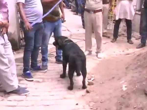 காப்பக உரிமையாளர் 