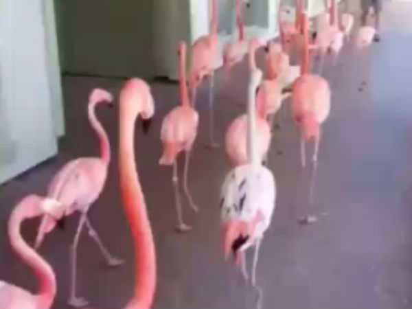 விநோத தண்டனை 