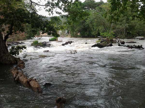 Salem collector warns the people who are in the banks of Cauvery river Salem collector warns the people who are in the banks of Cauvery river