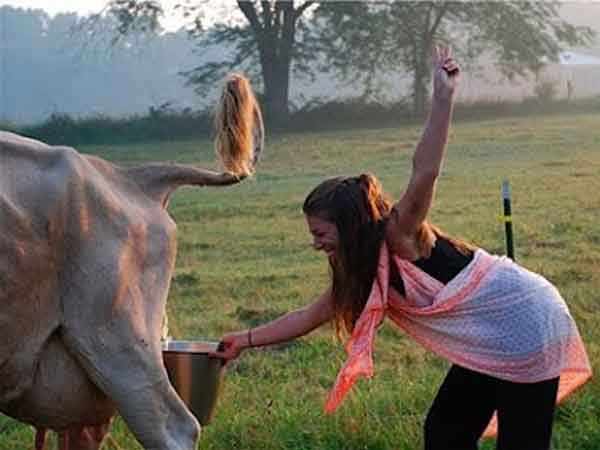 கோமியத்தில் அதிக லாபம்