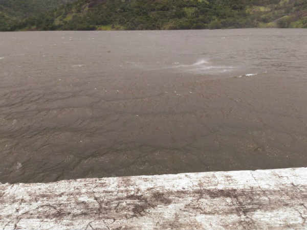 யானைகள் அட்டகாசம் 