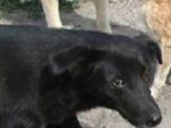 என்ன காரணமாக இருக்கும் 