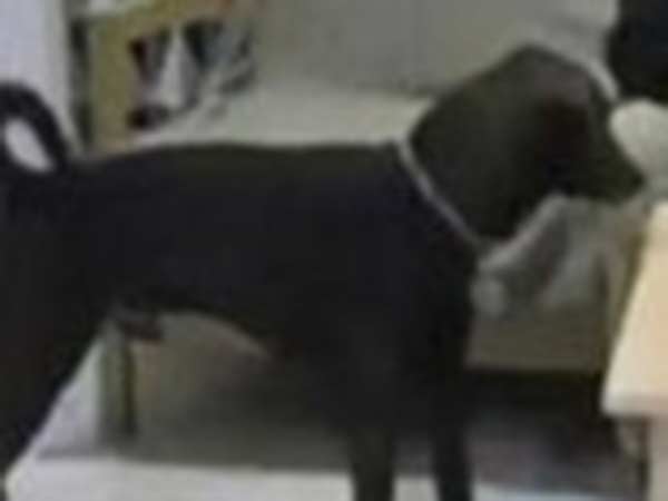 சரியான எடைதான் 