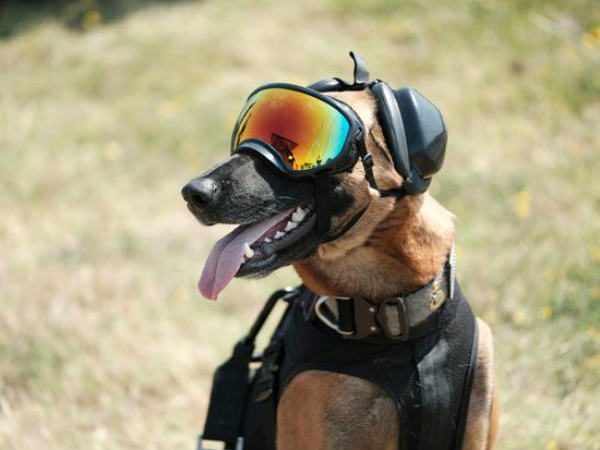 எங்கெல்லாம் இருக்கிறது 