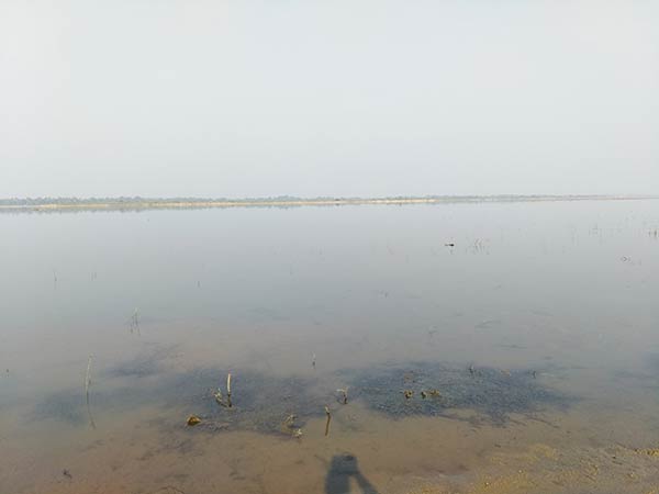 exploring odissa kalingam 62