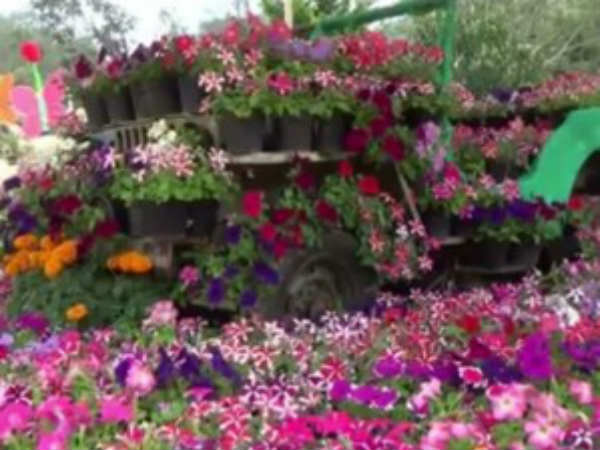  கொழு கொழு குழந்தைகள் போட்டி