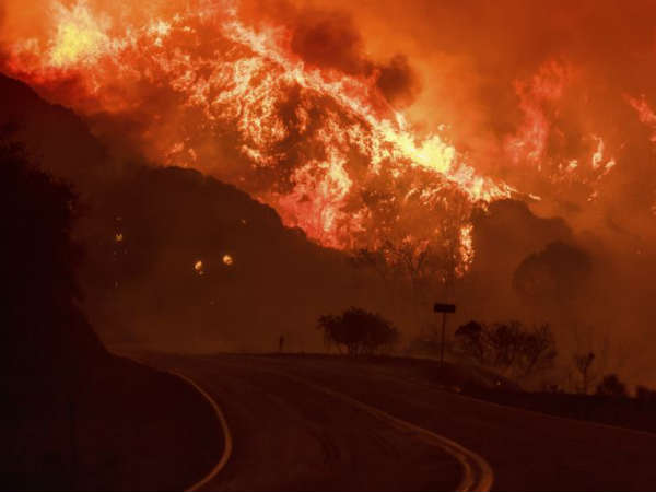 நடந்தது என்ன 