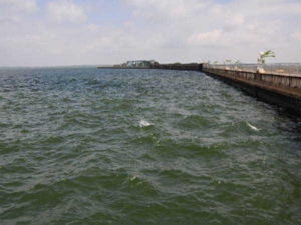  நிர்வாகிகள்