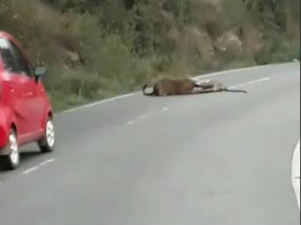 செல்போனில் படம்பிடித்தனர் 