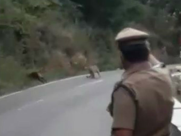 ஆபத்தை உணராமல் இருப்பதா? 