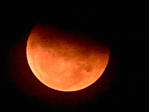 ஆலய தரிசனம்