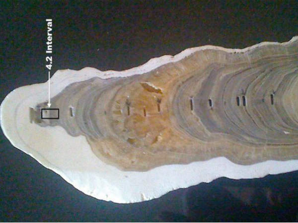 ஹோலோசீன் சகாப்தம் 