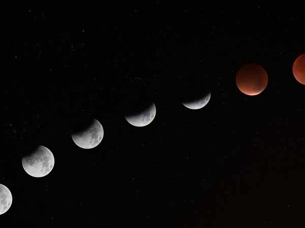 தர்ப்பை புல் எதற்காக