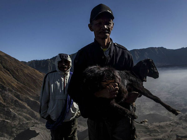 என்ன செய்வார்கள் 