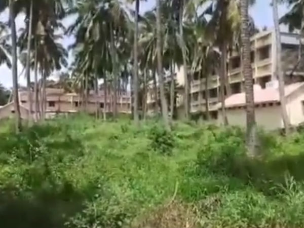 அடர்ந்த மரங்கள், புதர்கள் 