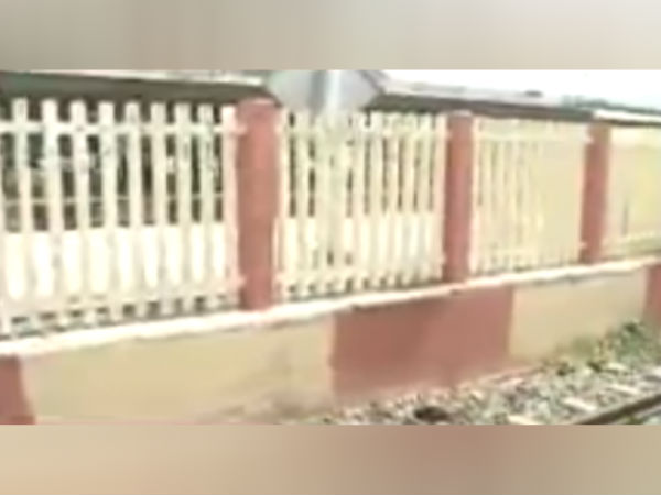 தலைகள் துண்டானது தலைகள் துண்டானது