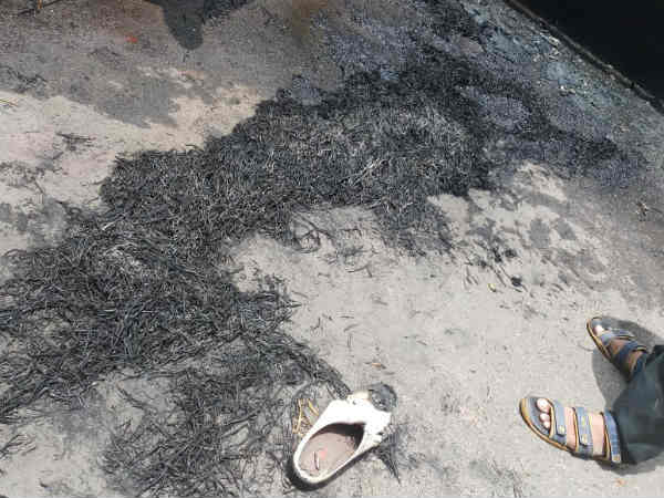 Petrol bomb hurdle on TTV Dhinakaran 