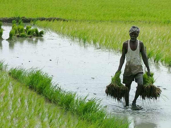 varahi alias vardhali is the goddes of agriculture and commander of divine mother lalitha