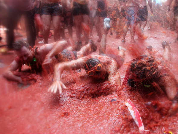 தக்காளி குளியல் 