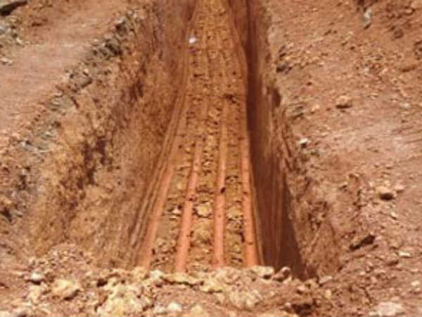  பிடிவாதமாக பதித்தனர்