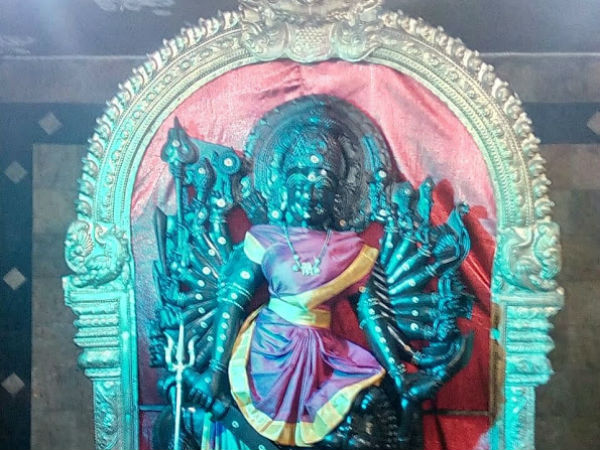 Aadi Amavasai yagam at Sri Dhavantri arokya peedam